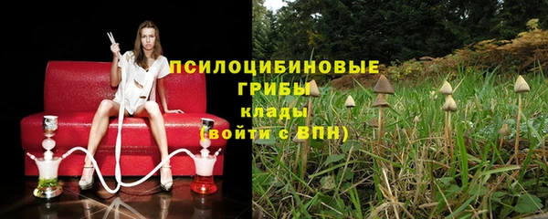 марки nbome Корсаков