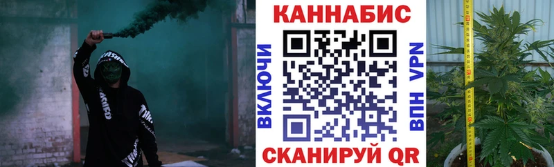 Конопля сатива  хочу   Курганинск 